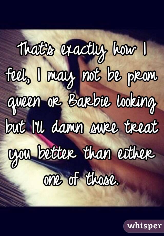 That's exactly how I feel, I may not be prom queen or Barbie looking but I'll damn sure treat you better than either one of those. 