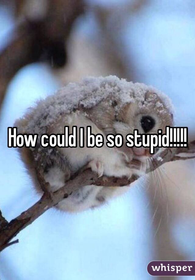 How could I be so stupid!!!!!