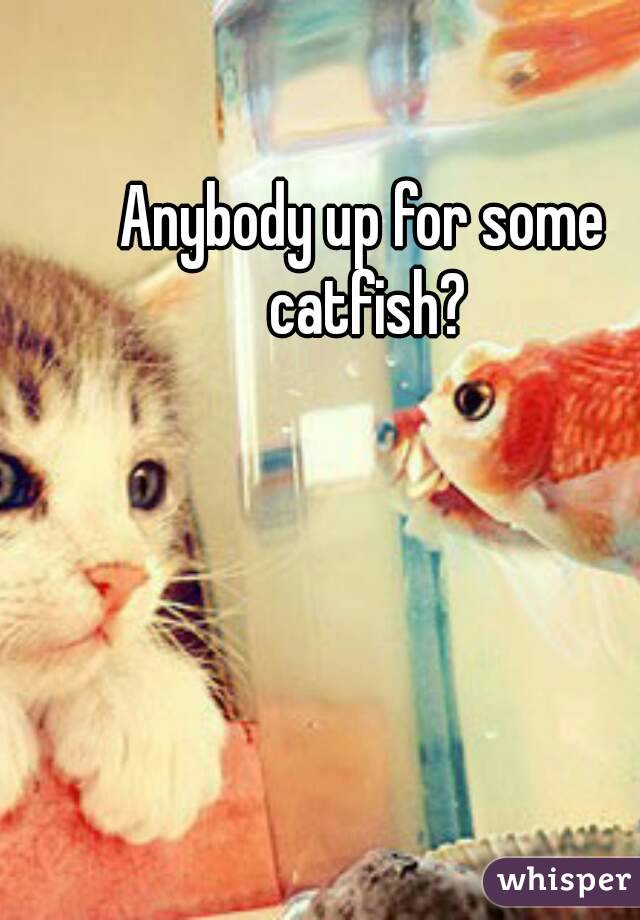 Anybody up for some catfish?