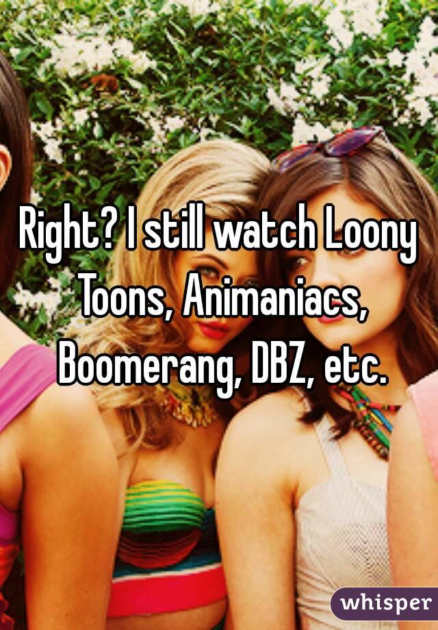 Right? I still watch Loony Toons, Animaniacs, Boomerang, DBZ, etc.