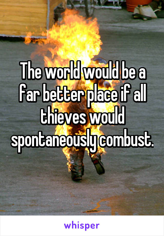 The world would be a far better place if all thieves would spontaneously combust. 