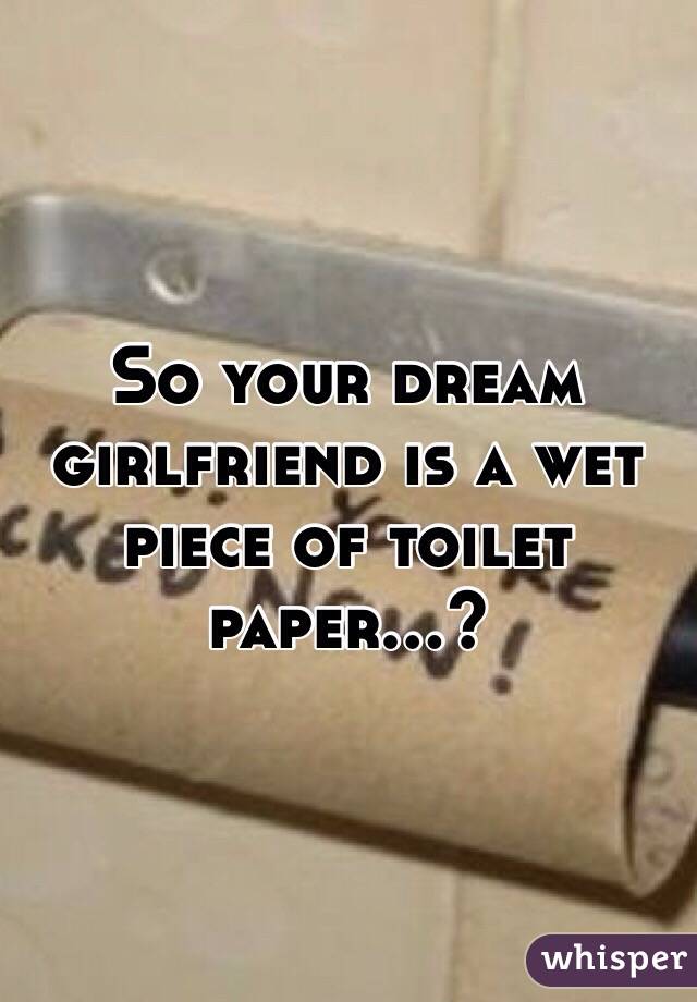 So your dream girlfriend is a wet piece of toilet paper...?
