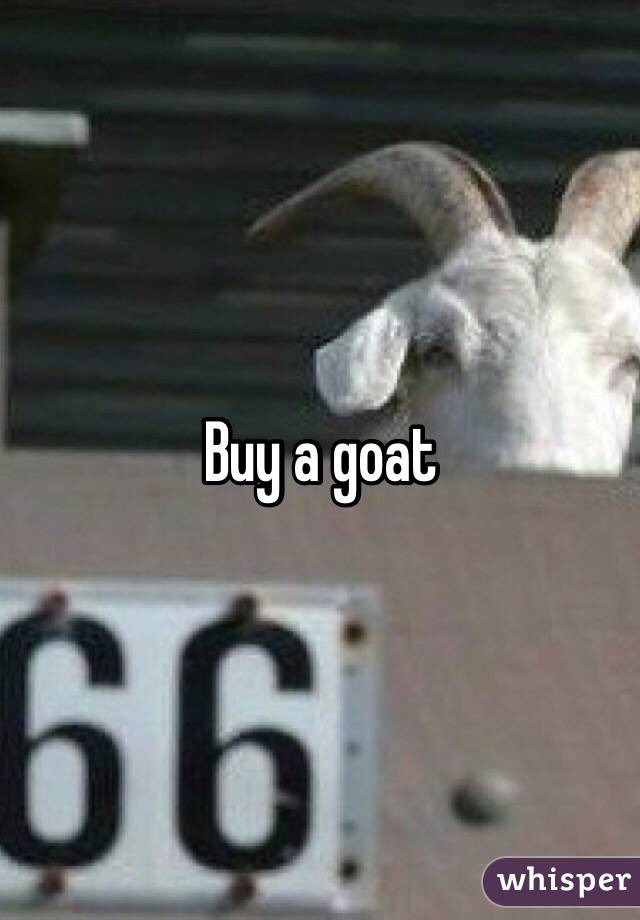 Buy a goat