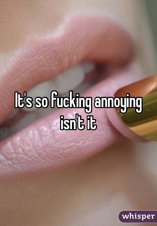 It's so fucking annoying isn't it 