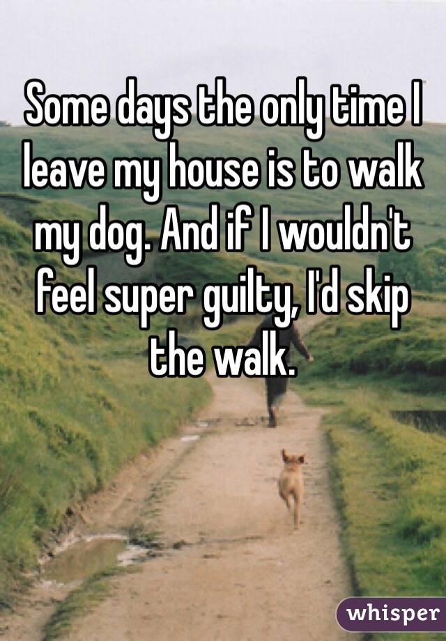 Some days the only time I leave my house is to walk my dog. And if I wouldn't feel super guilty, I'd skip the walk. 