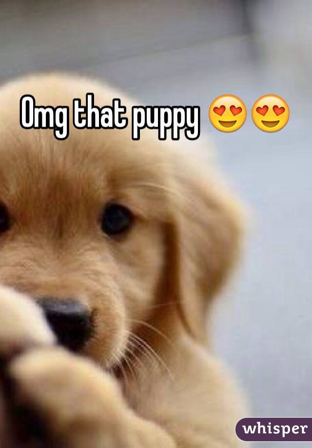 Omg that puppy 😍😍