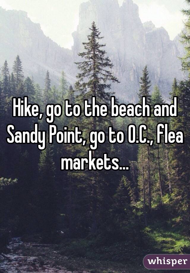 Hike, go to the beach and Sandy Point, go to O.C., flea markets...