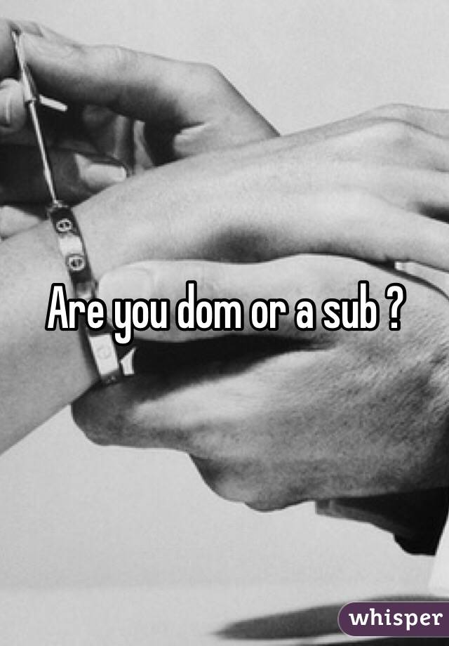 Are you dom or a sub ?