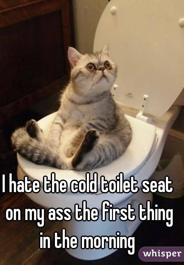 I hate the cold toilet seat on my ass the first thing in the morning 