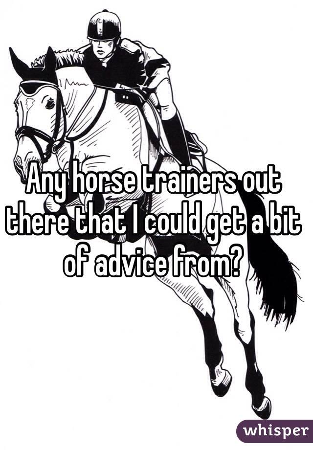 Any horse trainers out there that I could get a bit of advice from? 