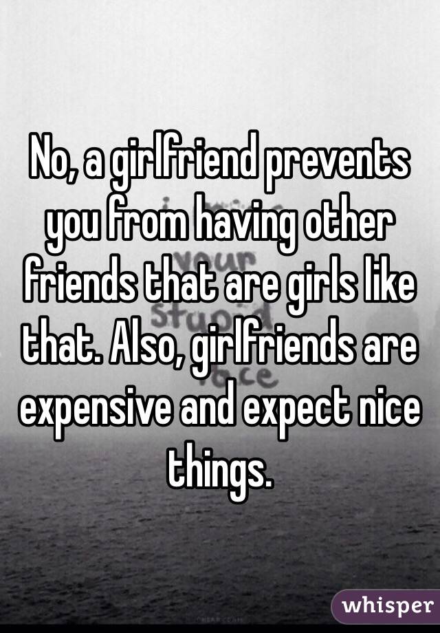 No, a girlfriend prevents you from having other friends that are girls like that. Also, girlfriends are expensive and expect nice things. 