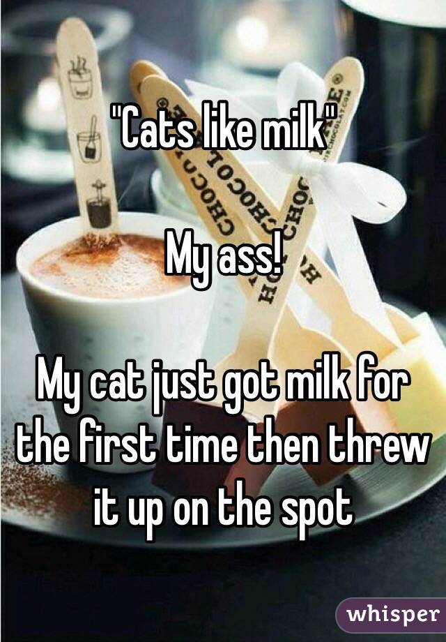 "Cats like milk"

My ass!

My cat just got milk for the first time then threw it up on the spot