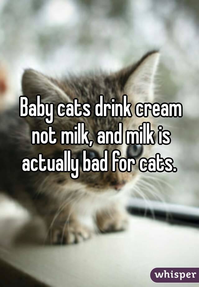  Baby cats drink cream not milk, and milk is actually bad for cats. 