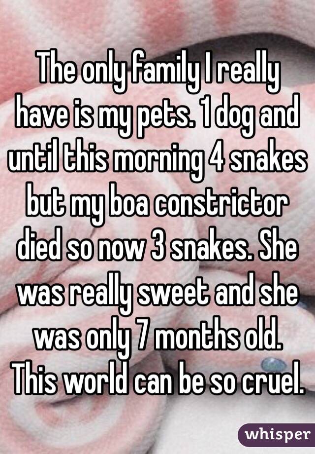 The only family I really have is my pets. 1 dog and until this morning 4 snakes but my boa constrictor died so now 3 snakes. She was really sweet and she was only 7 months old. This world can be so cruel. 