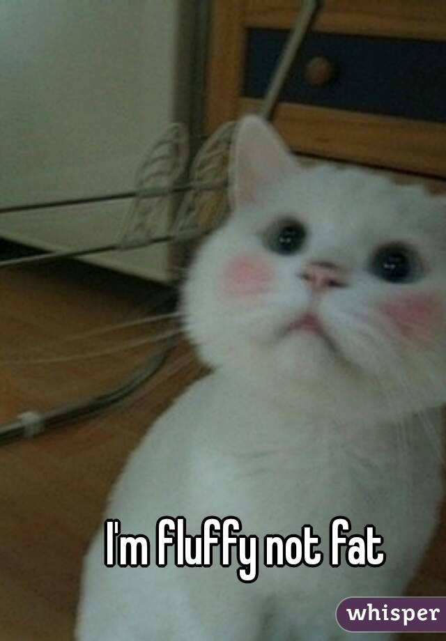 I'm fluffy not fat