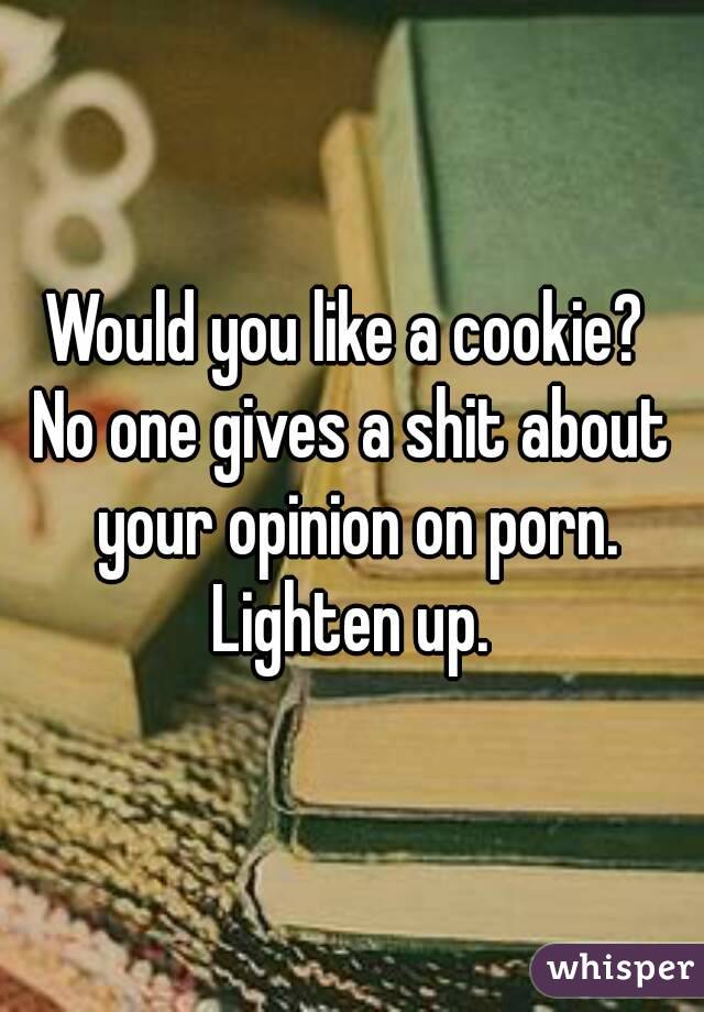 Would you like a cookie? 
No one gives a shit about your opinion on porn. Lighten up. 