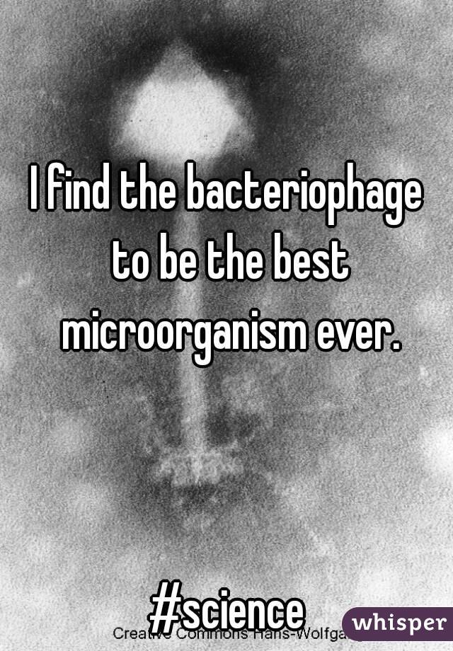 I find the bacteriophage to be the best microorganism ever.



#science