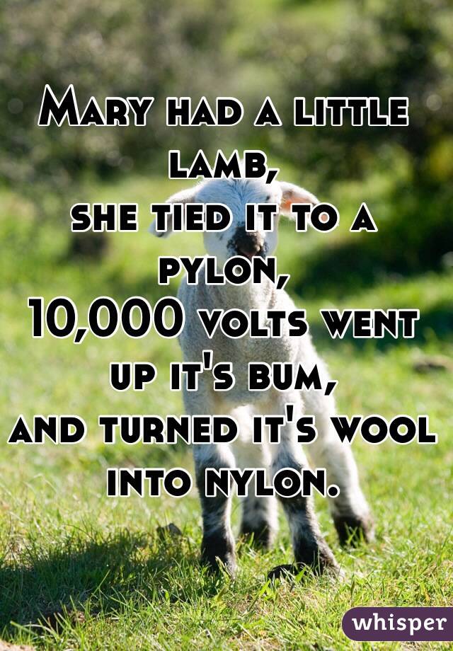 Mary had a little lamb,
she tied it to a pylon,
10,000 volts went up it's bum,
and turned it's wool into nylon.