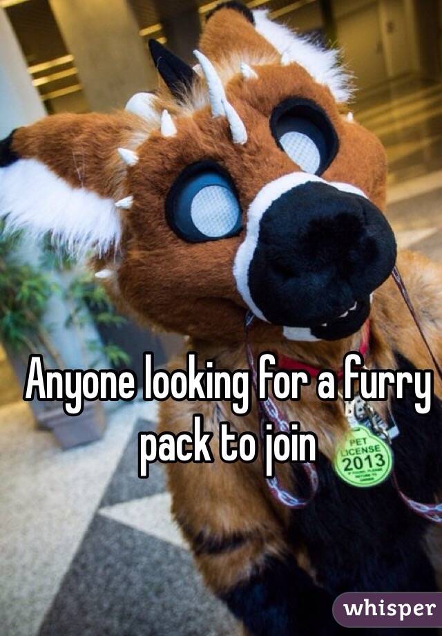 Anyone looking for a furry pack to join