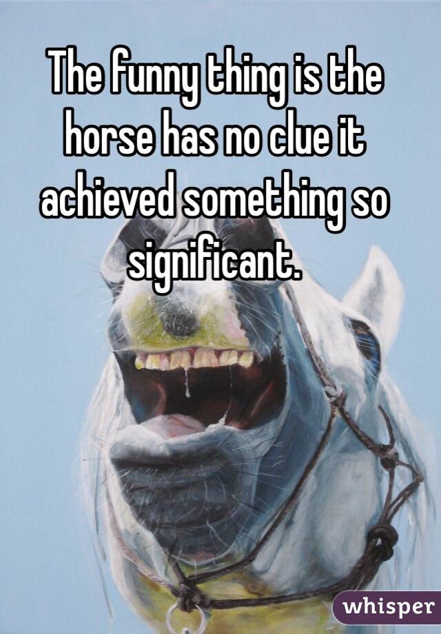 The funny thing is the horse has no clue it achieved something so significant.