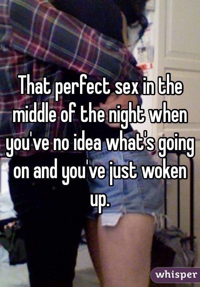 That perfect sex in the middle of the night when you've no idea what's going on and you've just woken up. 