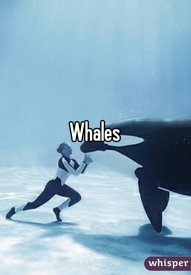 Whales