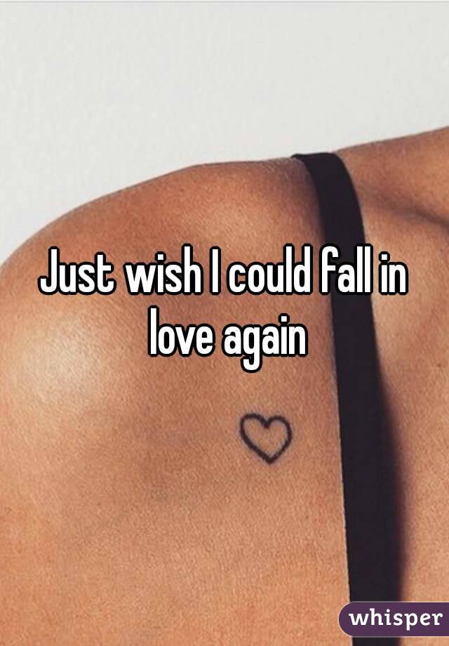 Just wish I could fall in love again