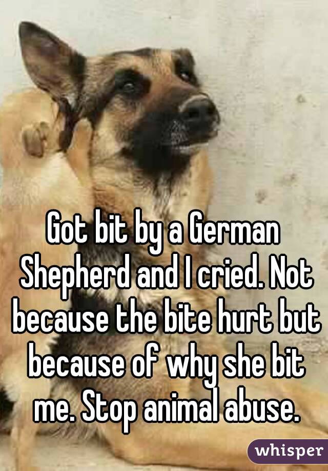 Got bit by a German Shepherd and I cried. Not because the bite hurt but because of why she bit me. Stop animal abuse.