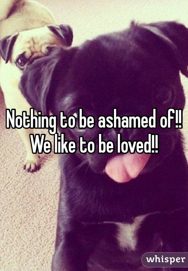 Nothing to be ashamed of!! We like to be loved!! 