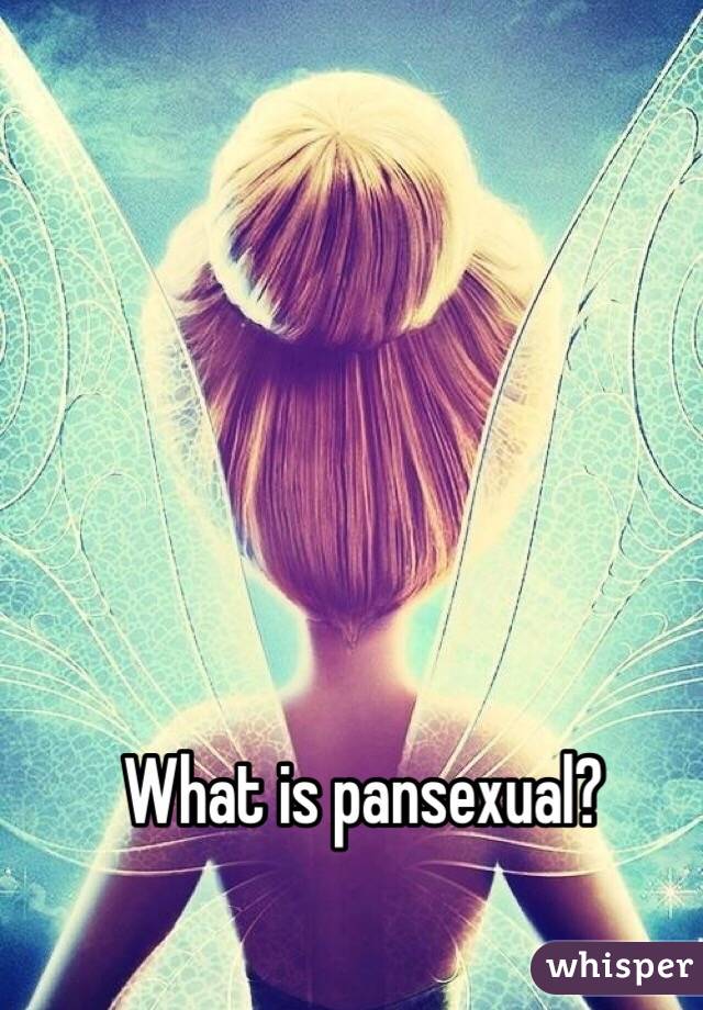 What is pansexual?