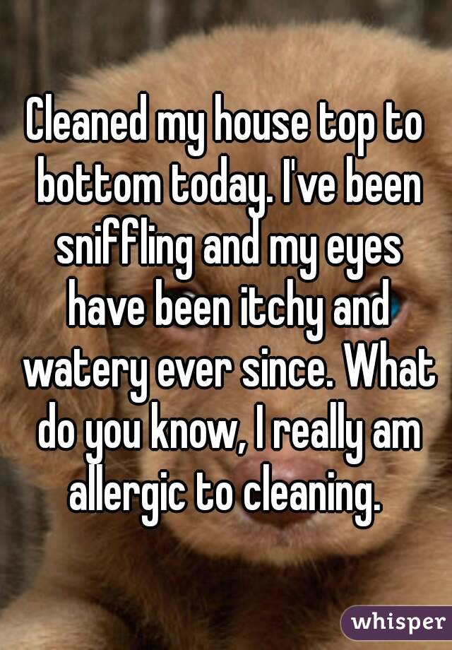 Cleaned my house top to bottom today. I've been sniffling and my eyes have been itchy and watery ever since. What do you know, I really am allergic to cleaning. 