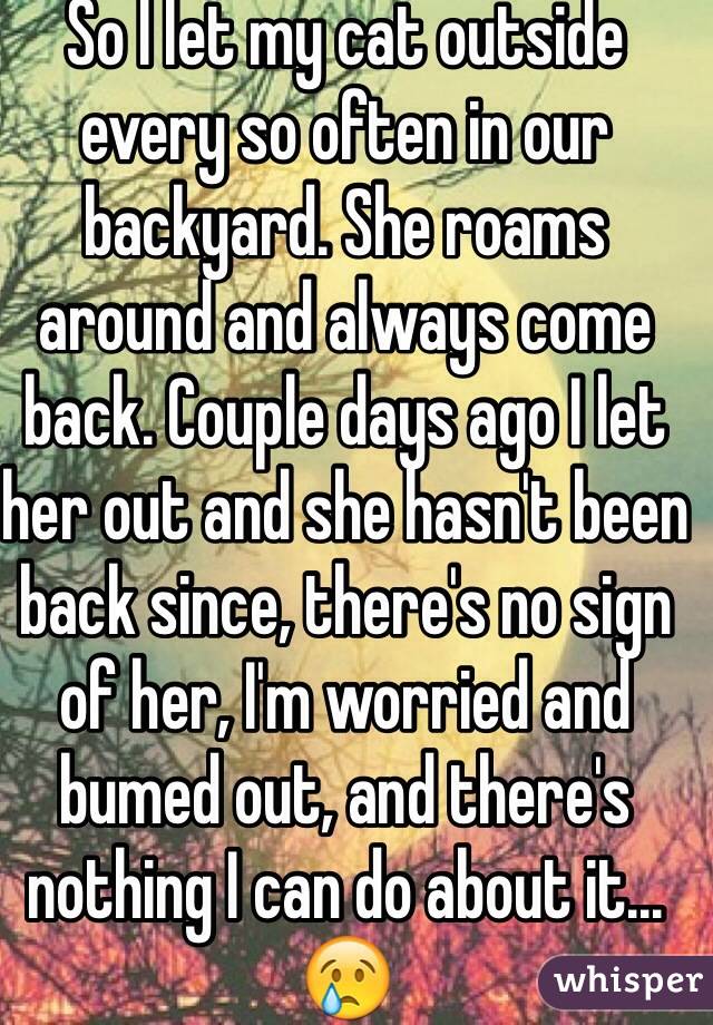 So I let my cat outside every so often in our backyard. She roams around and always come back. Couple days ago I let her out and she hasn't been back since, there's no sign of her, I'm worried and bumed out, and there's nothing I can do about it... 😢