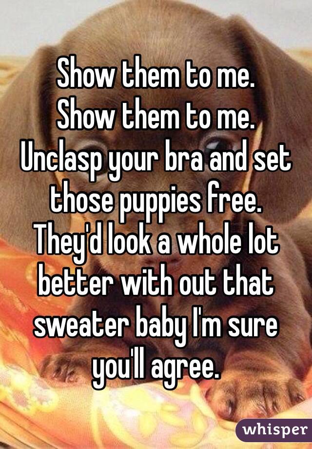 Show them to me. 
Show them to me.
Unclasp your bra and set those puppies free.
They'd look a whole lot better with out that sweater baby I'm sure you'll agree.