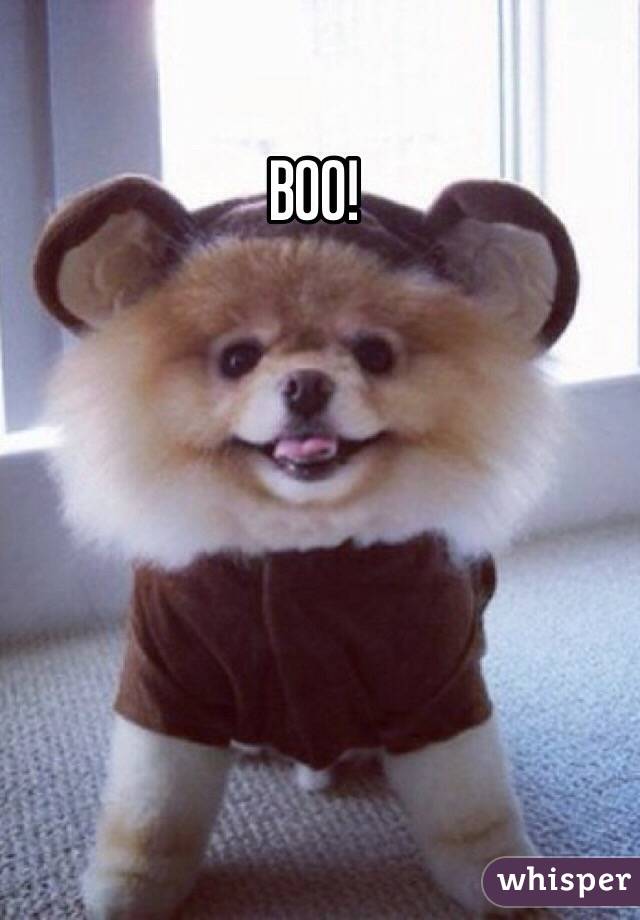 BOO!