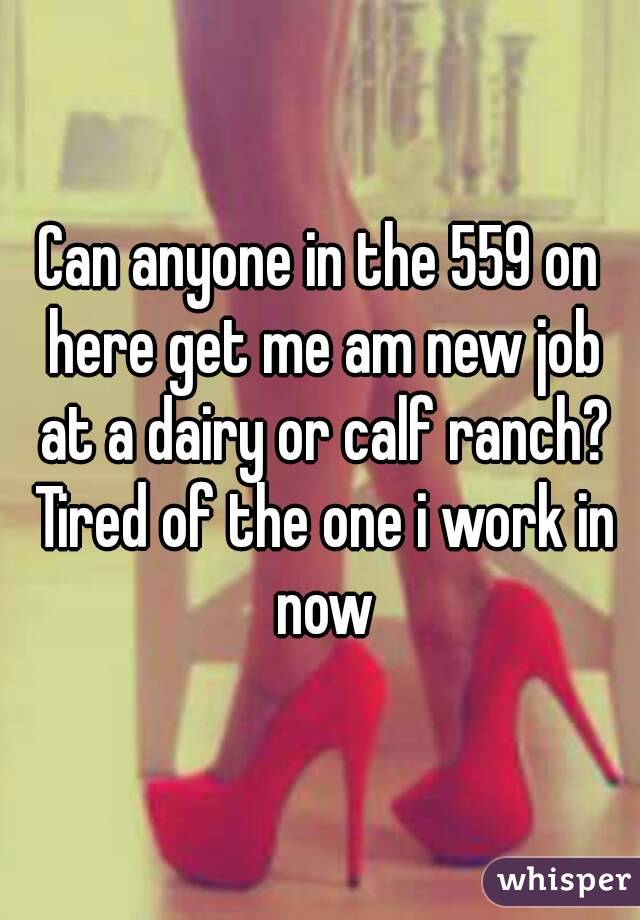 Can anyone in the 559 on here get me am new job at a dairy or calf ranch? Tired of the one i work in now