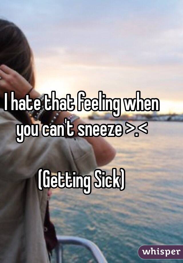 I hate that feeling when you can't sneeze >.<

(Getting Sick)
