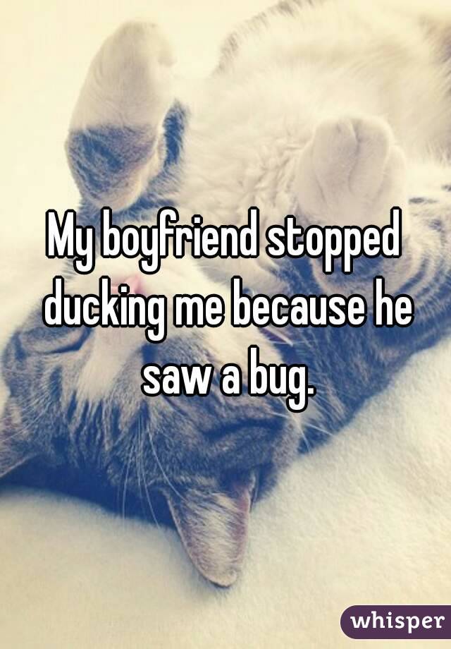 My boyfriend stopped ducking me because he saw a bug.