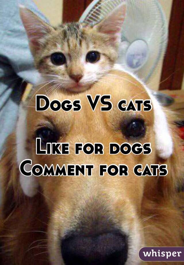 Dogs VS cats

Like for dogs
Comment for cats


