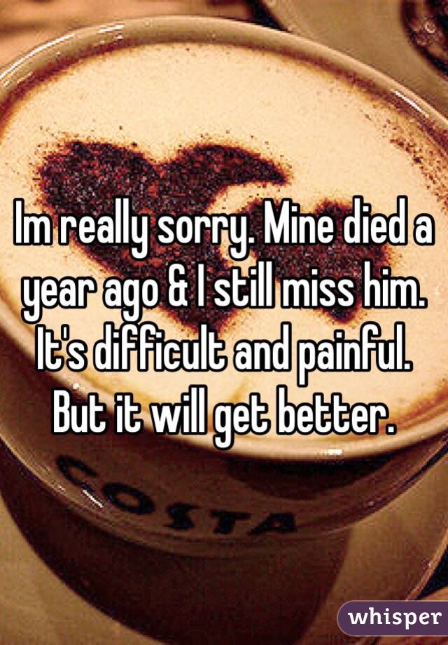 Im really sorry. Mine died a year ago & I still miss him. It's difficult and painful. But it will get better. 