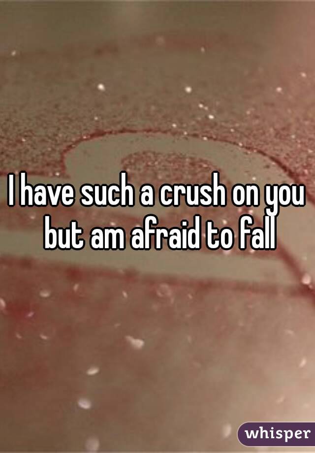 I have such a crush on you but am afraid to fall