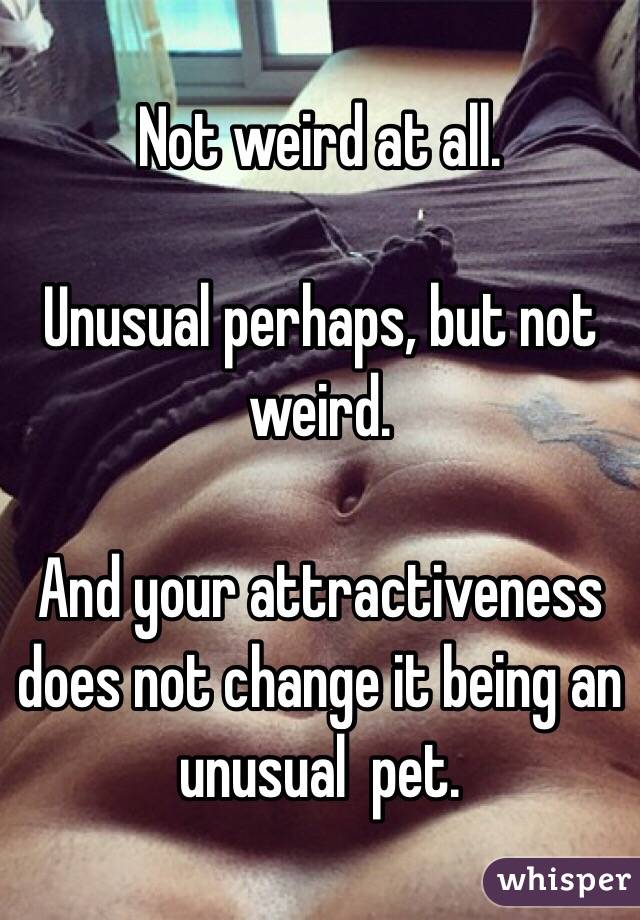 Not weird at all. 

Unusual perhaps, but not weird. 

And your attractiveness does not change it being an unusual  pet. 