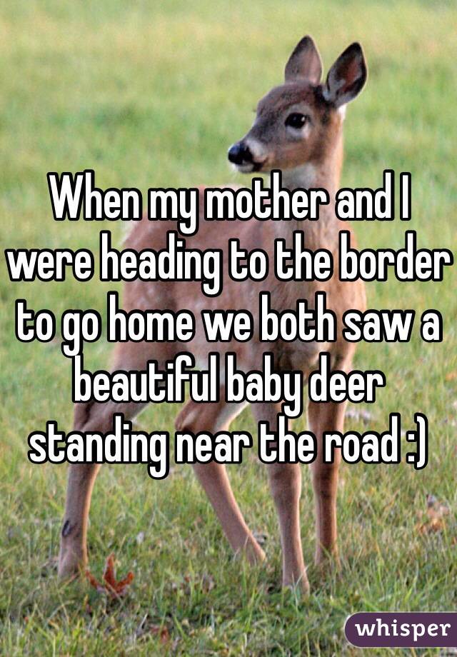 When my mother and I were heading to the border to go home we both saw a beautiful baby deer standing near the road :) 