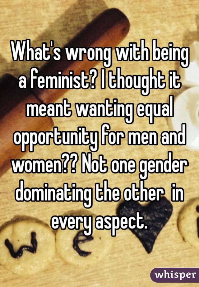 What's wrong with being a feminist? I thought it meant wanting equal opportunity for men and women?? Not one gender dominating the other  in every aspect.