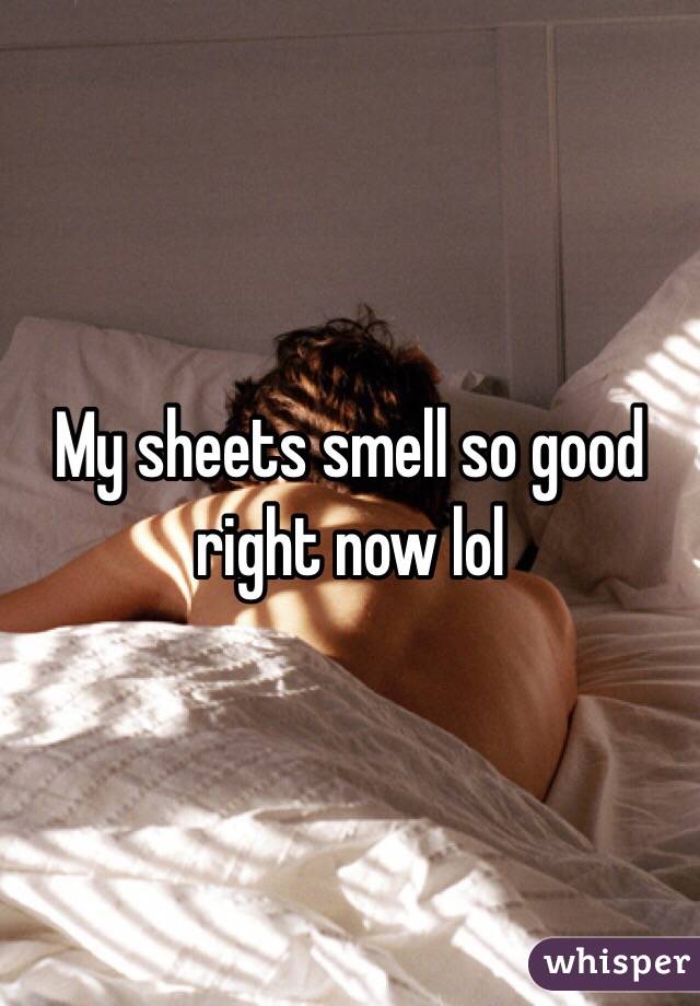 My sheets smell so good right now lol