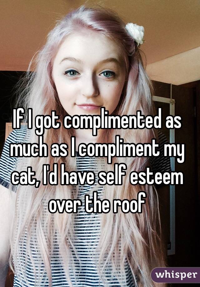 If I got complimented as much as I compliment my cat, I'd have self esteem over the roof