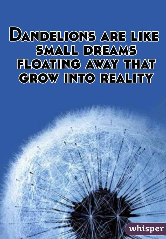 Dandelions are like small dreams floating away that grow into reality