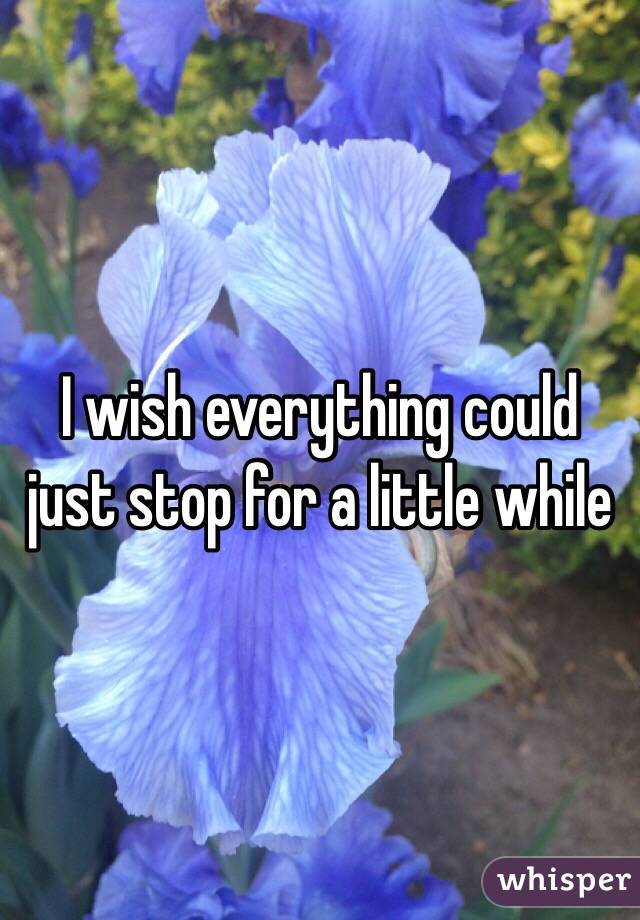 I wish everything could just stop for a little while