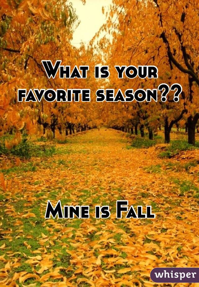 What is your favorite season??




Mine is Fall
