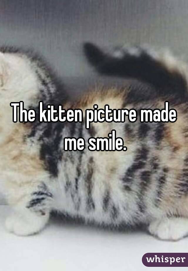 The kitten picture made me smile.