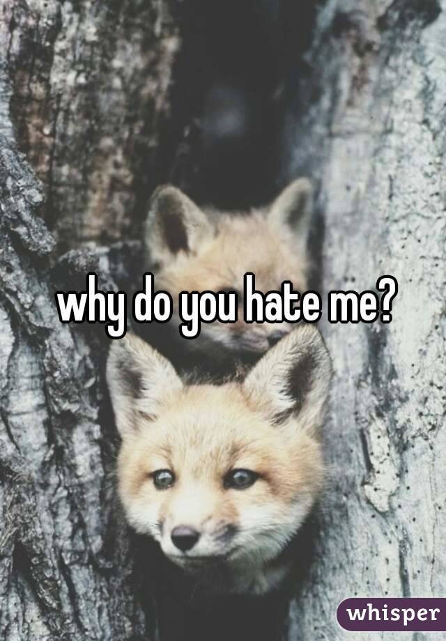  why do you hate me?